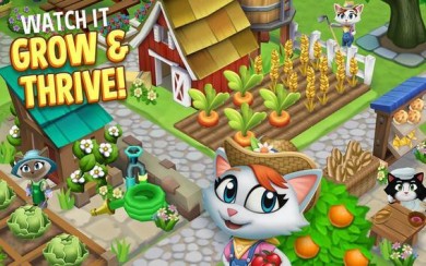 Kitty City [ВЗЛОМ] v 17.000